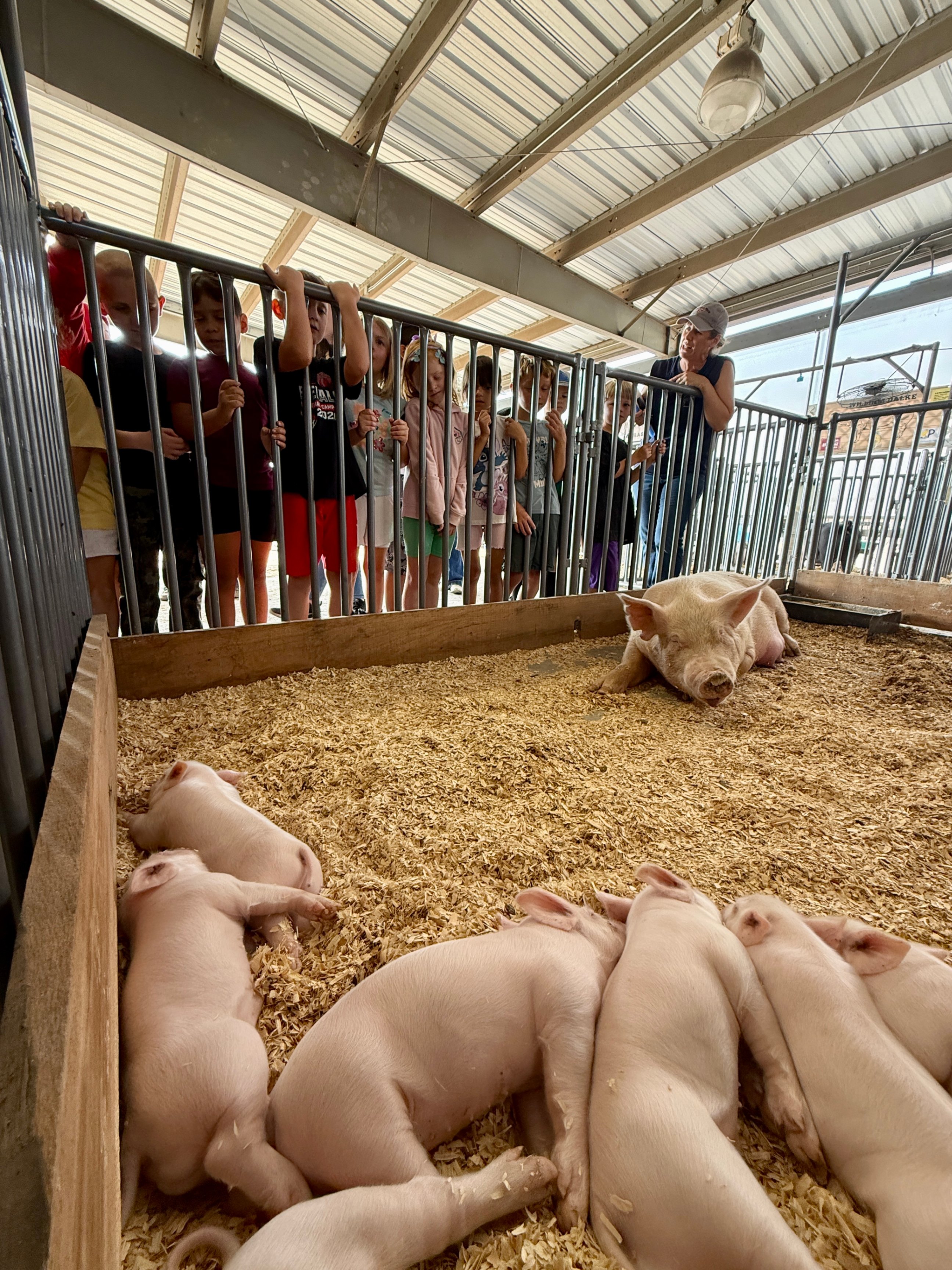 Elementary Students Enjoy Field Trip To County Fair